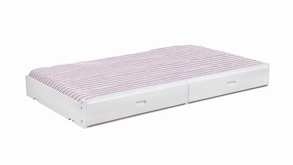 400323 STORAGE TRUNDLE