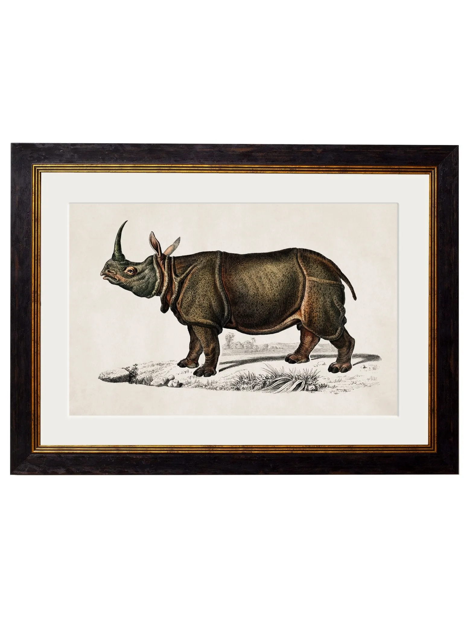 c.1846 Rhino & Hippo