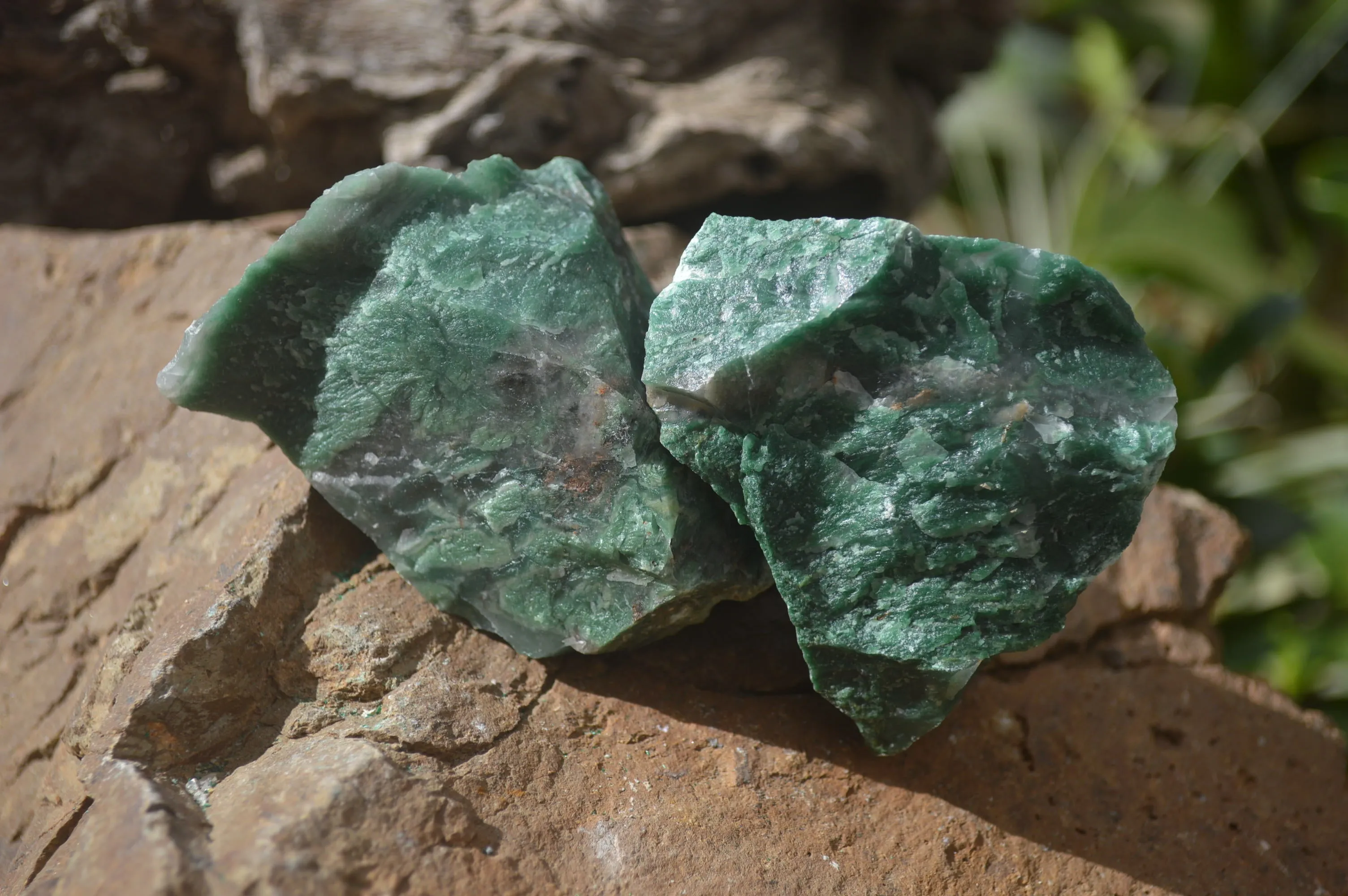 Natural Swazi Jade Cobbed Specimens x 24 from Swaziland