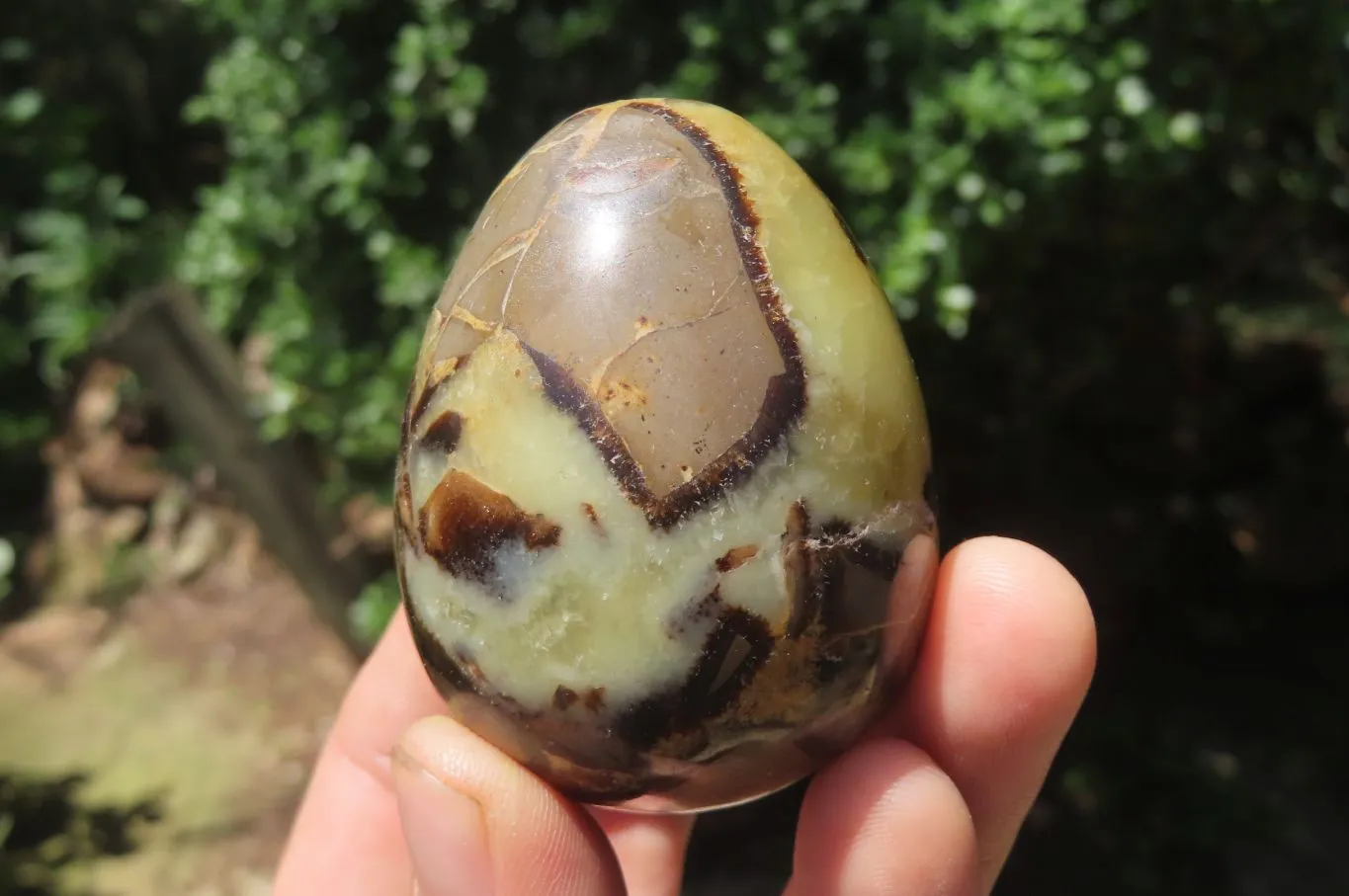 Polished Medium Septerye Eggs - Sold Per Item - From Madagascar