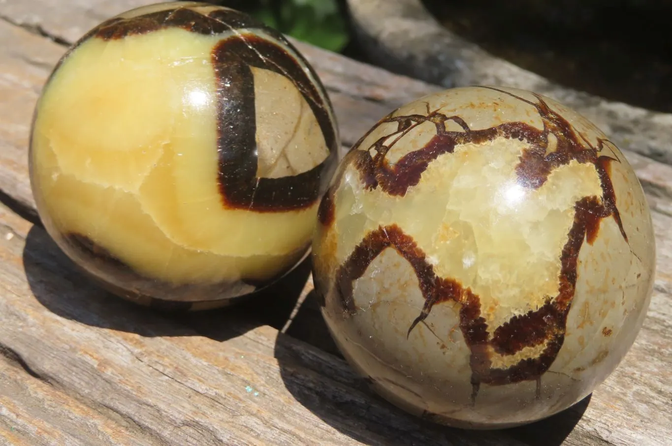 Polished Septerye Spheres x 4 From Madagascar